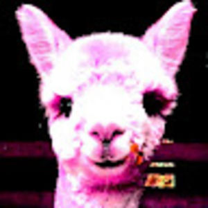 Meet your Posher, Starliah1111